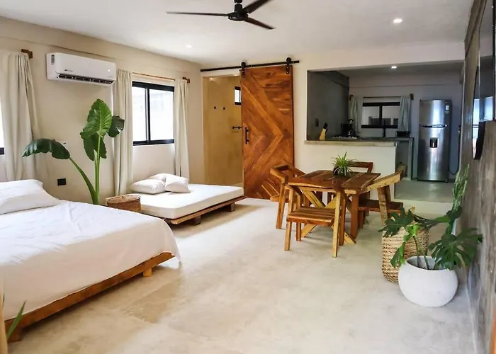 Cozy Tropical Suite For 1-4 Pp In Isla Mujeres