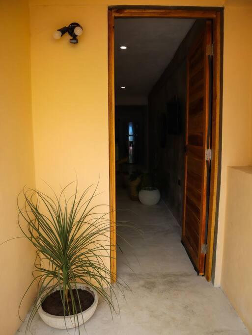 Cozy Tropical For 1-4 Pp In