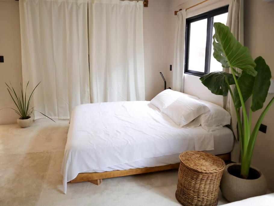 Cozy Tropical For 1-4 Pp In *