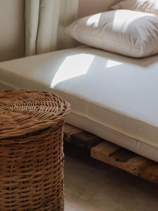 Cozy Tropical For 1-4 Pp In Apartment Isla Mujeres