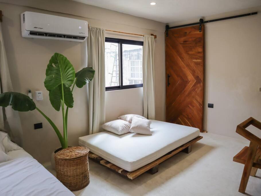 Cozy Tropical For 1-4 Pp In Apartment Isla Mujeres
