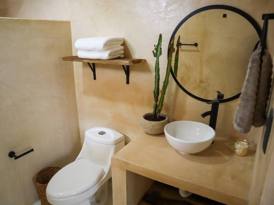 Cozy Tropical For 1-4 Pp In Apartment Isla Mujeres